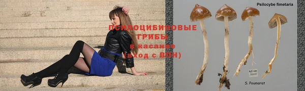 таблы Алексин