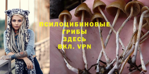 таблы Алексин