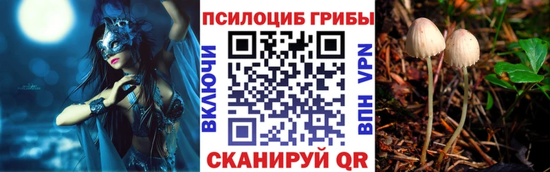 мориарти формула Джанкой Галлюциногенные грибы Psilocybe закладка