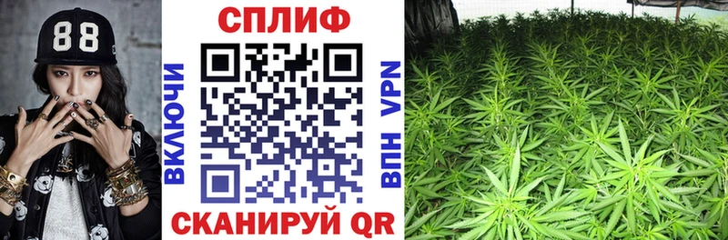ОМГ ОМГ вход  Джанкой  darknet официальный сайт  Каннабис план 
